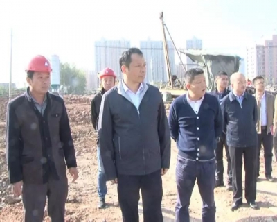 市长李新桥检查督办市政道路、ppp项目、滨江公园国家4A级景区创建和棚户区改造工作