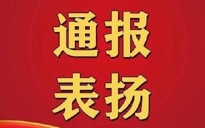 关于机关企事业单位及在职党员干部下沉社区（小区）抓好疫情防控工作的表扬通报