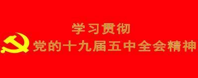 学习贯彻党的十九届五中全会精神
