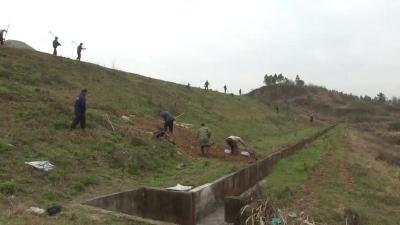 四望镇：抢抓有利时机 大兴水利建设