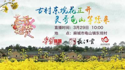 花开荆楚：东垸村这片油菜花开了！绝美春光等你打卡