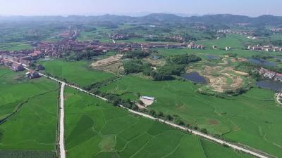 四望镇：抢抓乡村振兴机遇 推进经济社会健康持续发展