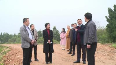 四望镇开展“协商在一线”活动  助推油茶之乡建设