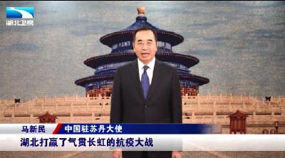 驻外大使为湖北打Call丨中国驻苏丹大使：英雄的湖北交出了亮丽的答卷 