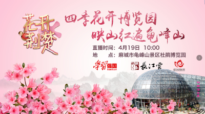 花开荆楚丨龟峰山杜鹃博览园已进入盛花期！绝美春光等你打卡