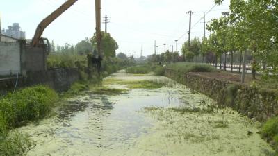 田镇街道积极整改曝光问题