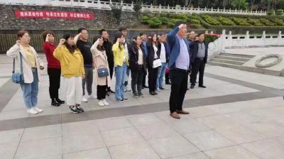 大金镇:开展党史学习教育现场教学 