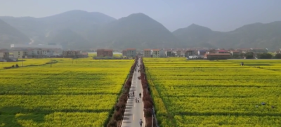 武穴上桂村：美丽蝶变  振兴可期