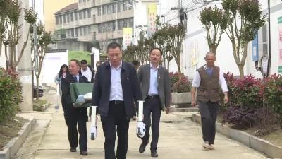 梅川镇：创新方式学党史 聚焦为民办实事
