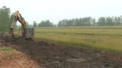 奋斗百年路 启航新征程 | 龙坪镇：形式多样 促进党史学习教育走深走实 