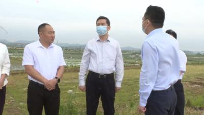 陈风察看雷雨暴风灾情强调：坚持人民至上，生命至上，全力防灾减灾保安全