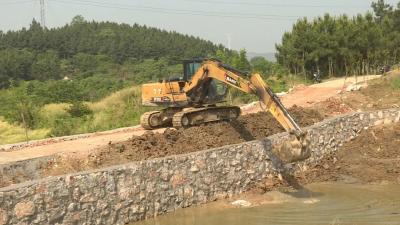 奋斗百年路 启航新征程 |  四望镇高垴村：补齐水利短板解民忧 