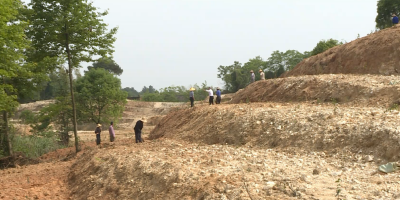 四望镇：学习党史践行动 办好实事惠民生