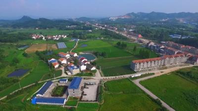奋斗百年路 启航新征程 | 李兴泗村：外增“颜值”建美丽家园 内添“气质”育文明乡风
