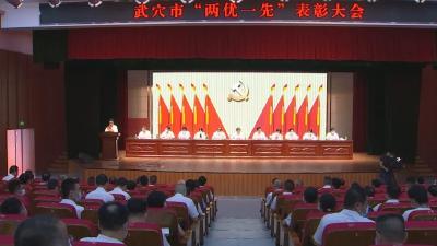 全市“两优一先”表彰大会举行  