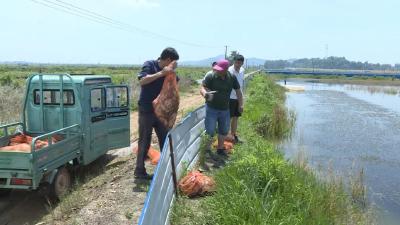 奋斗百年路 启航新征程 | 四望镇紫石村：发展特色养殖 带领群众致富