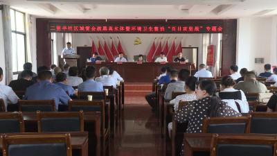 二里半社区召开黑臭水体暨环境卫生整治“百日攻坚战”推进会