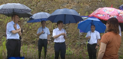 胡昊检查督导重点险段防汛工作