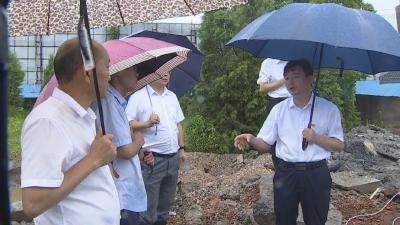 胡昊检查督导重点险段防汛工作  