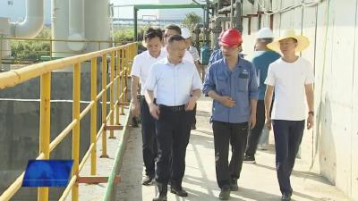 查俊深入马口化工园区督办企业落实生态环保主体责任