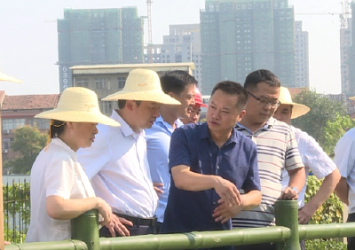 胡昊现场督导城区黑臭水体和环境卫生整治工作