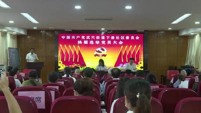武穴街道下港社区党委换届选举大会召开  