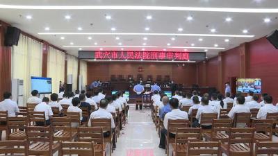 麻城市人民政府原党组成员、副市长顾兴胜贪污和受贿罪一案在武穴市人民法院开庭审理  
