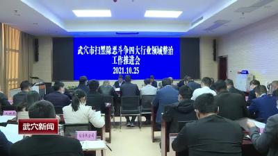 全市扫黑除恶斗争四大行业领域整治推进会召开