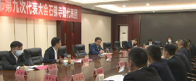 胡昊参加龙坪镇、石佛寺镇分组讨论