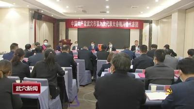 中国共产党武穴市第九次代表大会召开主席团第四次会议