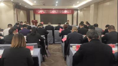 胡昊参加梅川镇、花桥镇、刊江街道、大法寺镇、市直机关第一代表团分组讨论