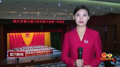 武穴市第九届人民代表大会第一次会议开幕