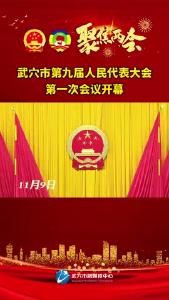 武穴市第九届人民代表大会第一次会议开幕