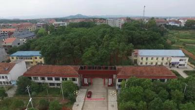 石佛寺镇：找准定位 全力以赴谋发展