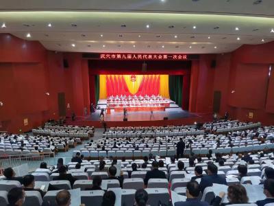 武穴市第九届人民代表大会第一次会议开幕