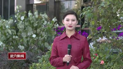 人大代表：共谋发展 共话未来