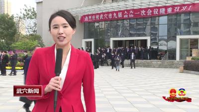 政协委员：立足岗位 建言献策