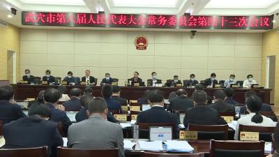 市第八届人大常委会第四十三次会议召开