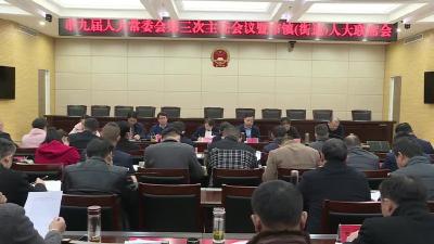 市九届人大常委会第三次主任会议暨市镇（街道）人大联席会议召开