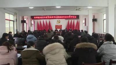龙坪镇召开党建述职会
