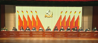 全市2021年度党委（党组）书记抓人才工作述职评议会议召开