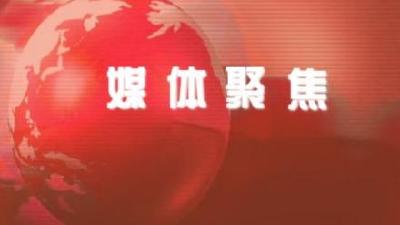 奋战一季度 勇夺开门红丨武穴一批重点项目建设跑出加速度