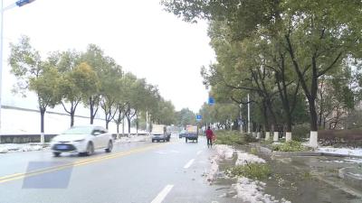  大雪过后 园林工人全力整修养护绿化苗木