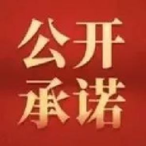 武穴市税务局优化营商环境十项承诺  