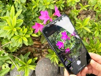 透过屏幕闻春意 赴一场“花的盛宴”