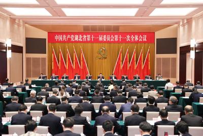中共湖北省委十一届十一次全会举行 