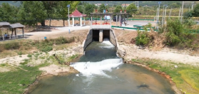 引蕲济武”调水行动换来金秋稻香扑鼻