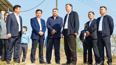 省水利厅副厅长焦泰文调研我市水利工作