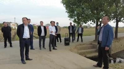 全市油菜秋播现场推进会召开