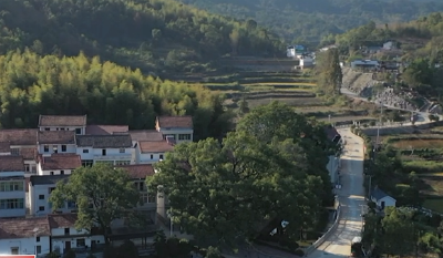 余川镇：连片打造乡村振兴示范区 共同缔造宜居宜游新余川